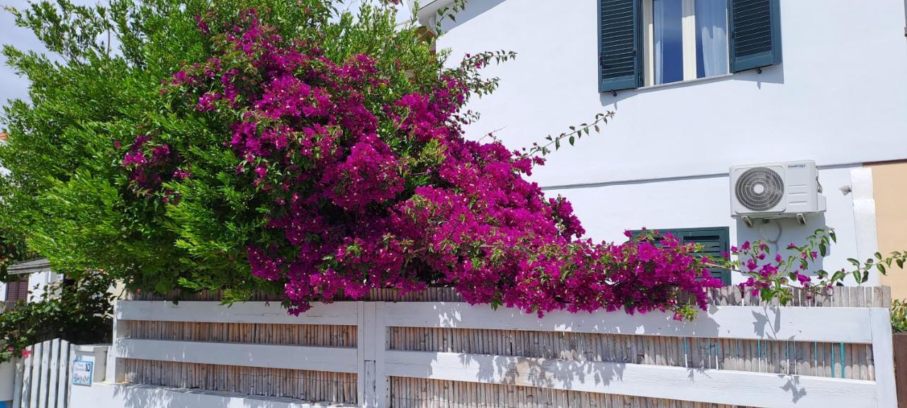 Piero'S Apartment กาลาเซตตา ภายนอก รูปภาพ